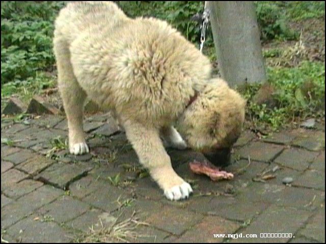200711604821.jpg