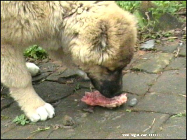 200711604853.jpg