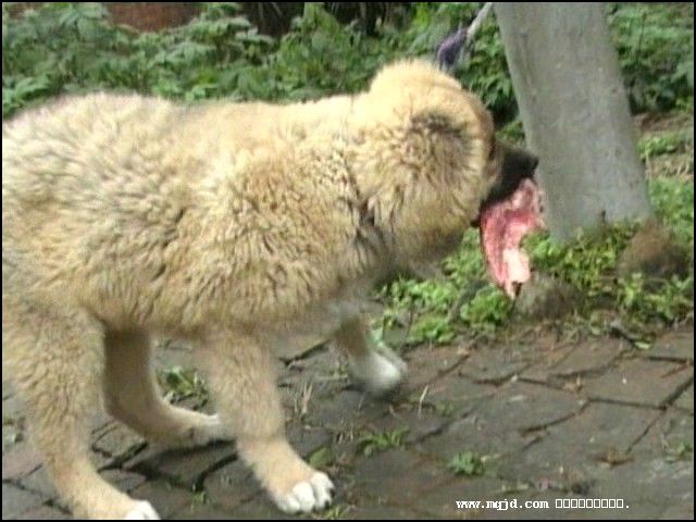 200711604915.jpg
