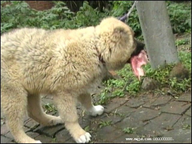 200711604938.jpg