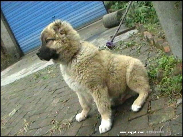 200711605153.jpg