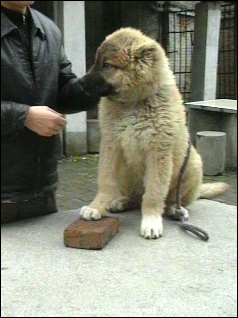 200711605326.jpg