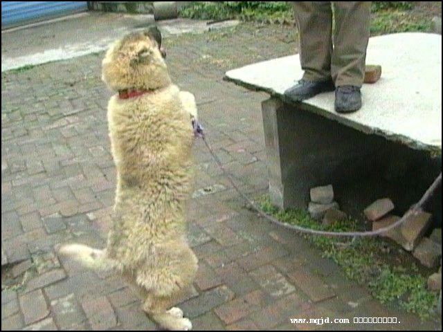 200711605445.jpg