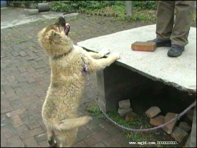 200711605506.jpg