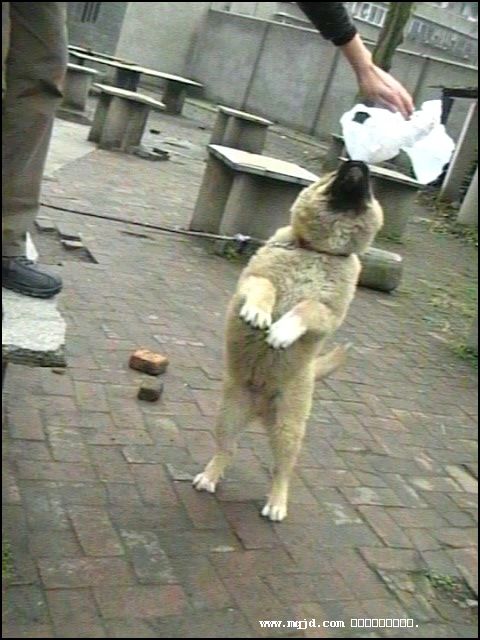 200711605529.jpg