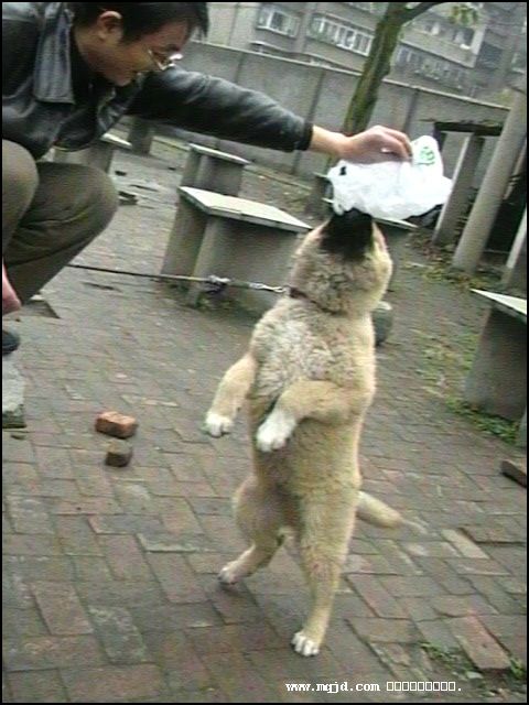 200711605549.jpg