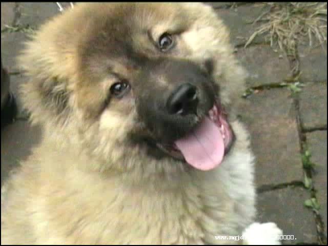 200711605618.jpg