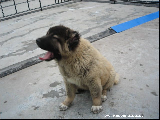 2007117171627.jpg