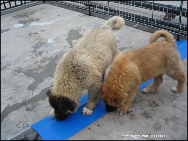 2007117171649.jpg
