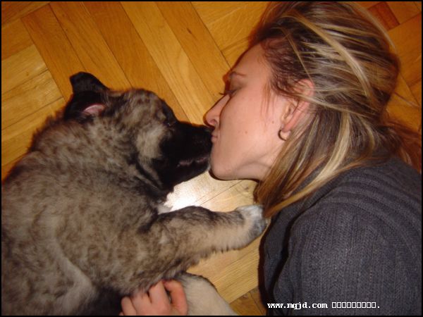 2007120134725.jpg
