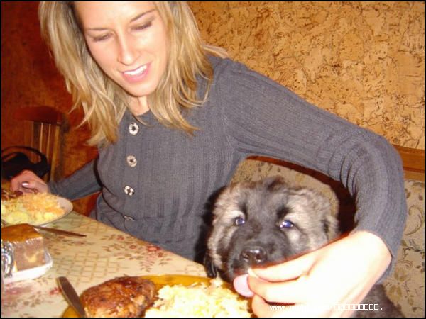 2007120134750.jpg