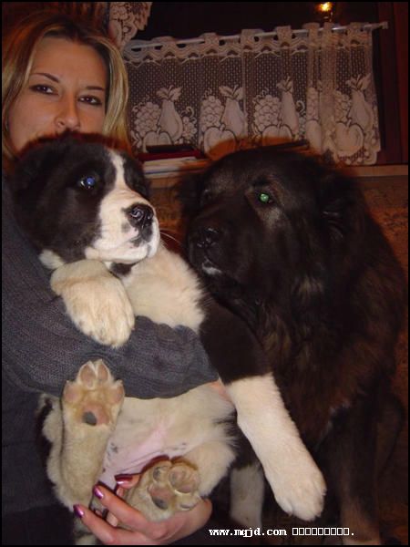 2007120134936.jpg