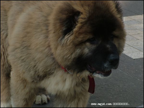 200712225801.jpg