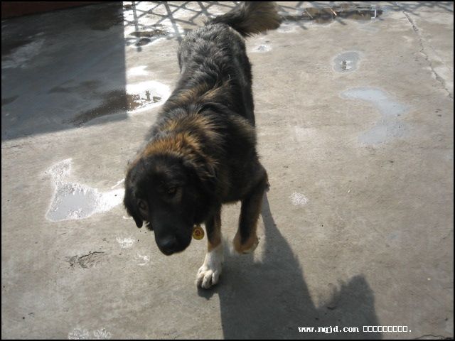 200716105750.jpg