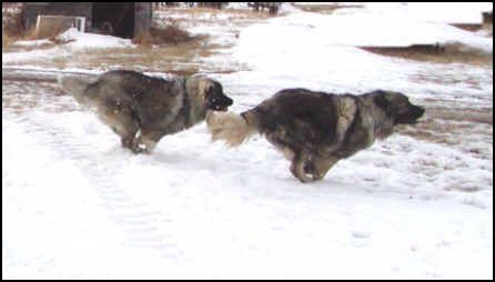 200716155600.jpg