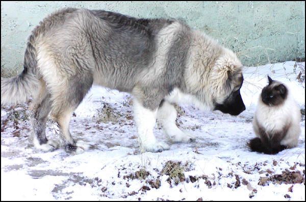 200716155755.jpg