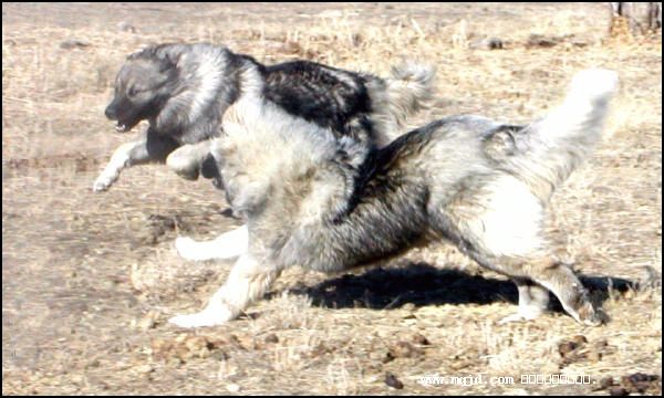 200716155827.jpg