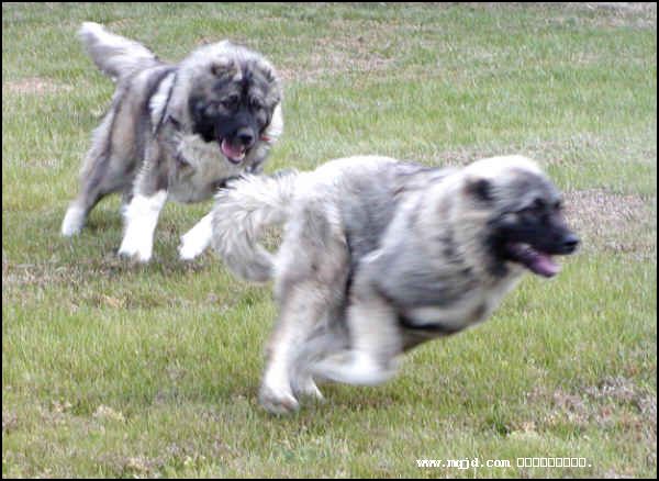 200716160204.jpg