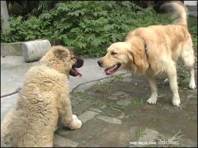200716180239.jpg