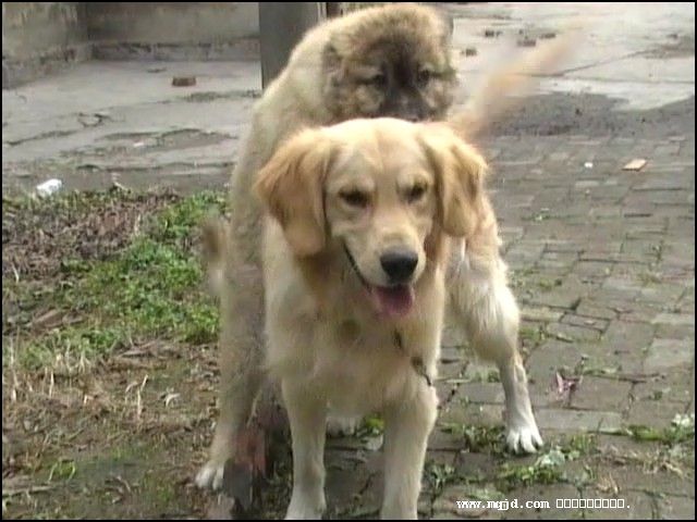 200716180308.jpg