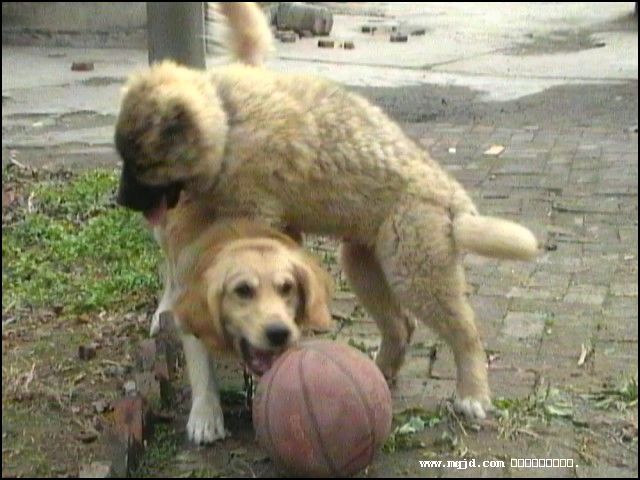 200716180328.jpg