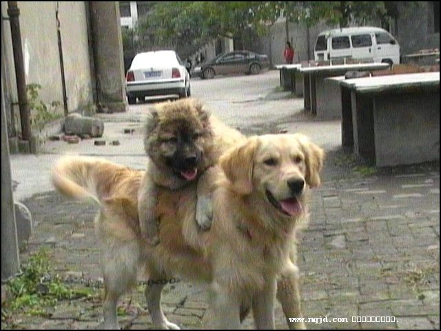 200716180350.jpg