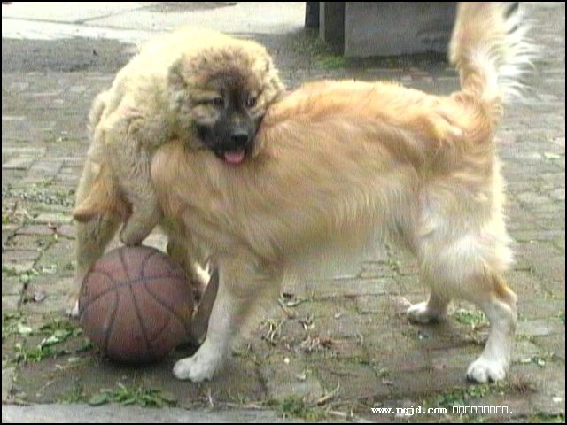 200716180409.jpg