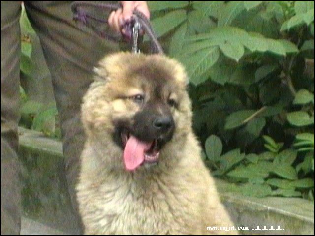 200716180428.jpg