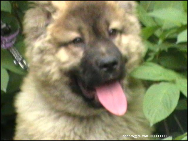200716180446.jpg