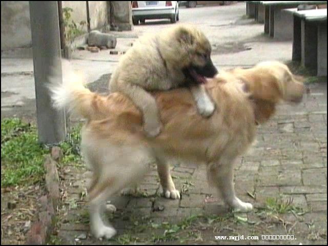200716180557.jpg