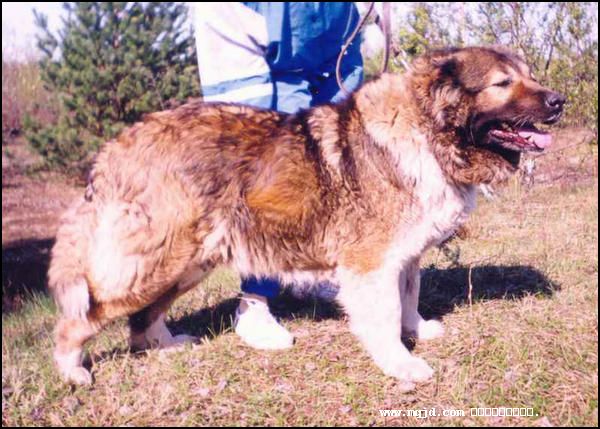 200719184920.jpg