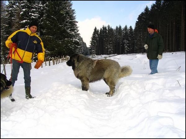 2007216205237.jpg