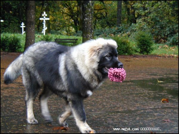 2007216205528.jpg