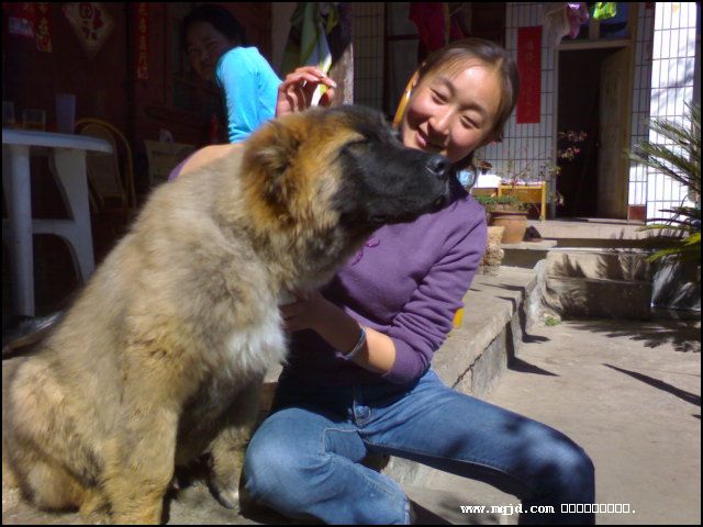 2007223212854.jpg