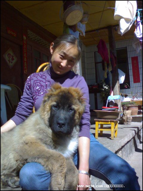 2007223212907.jpg