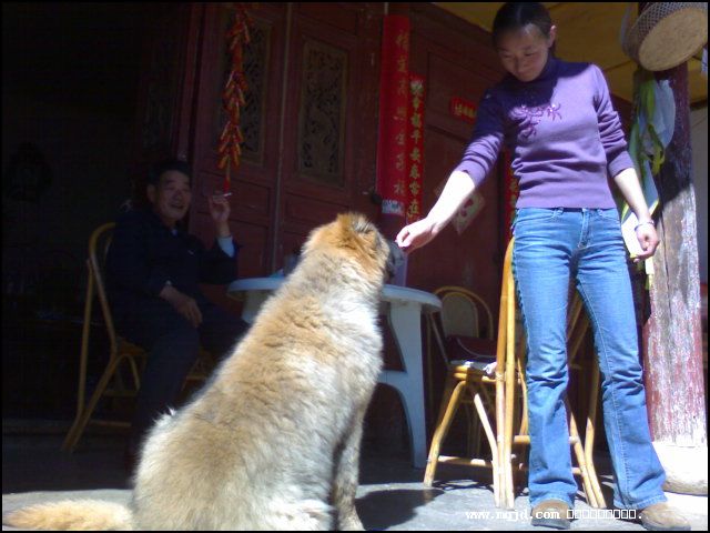 2007223212920.jpg
