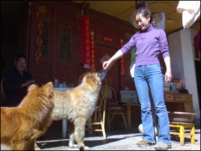 2007223212932.jpg