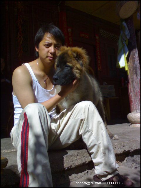 2007223212945.jpg