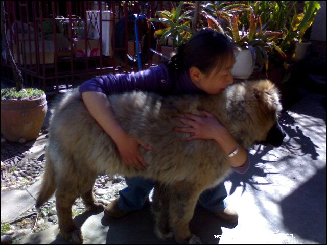 2007223212956.jpg
