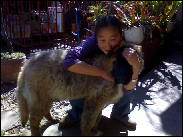 2007223213006.jpg