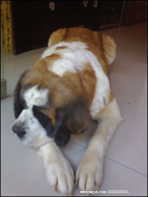 2007223215332.jpg