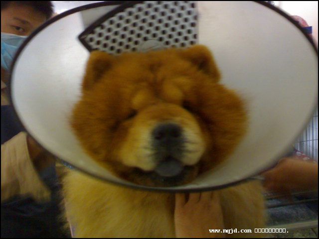 2007223215411.jpg