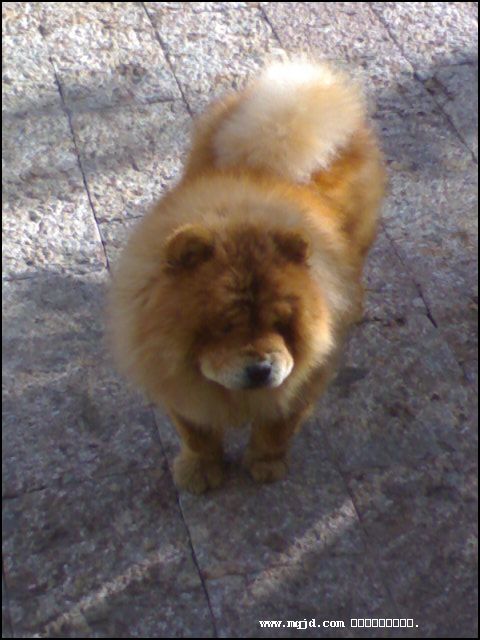 2007223215420.jpg