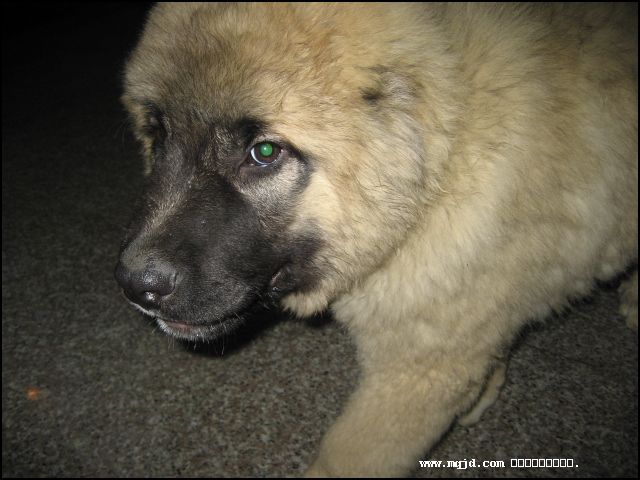 2007224204409.jpg