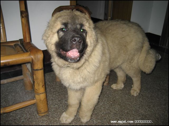 2007224204434.jpg
