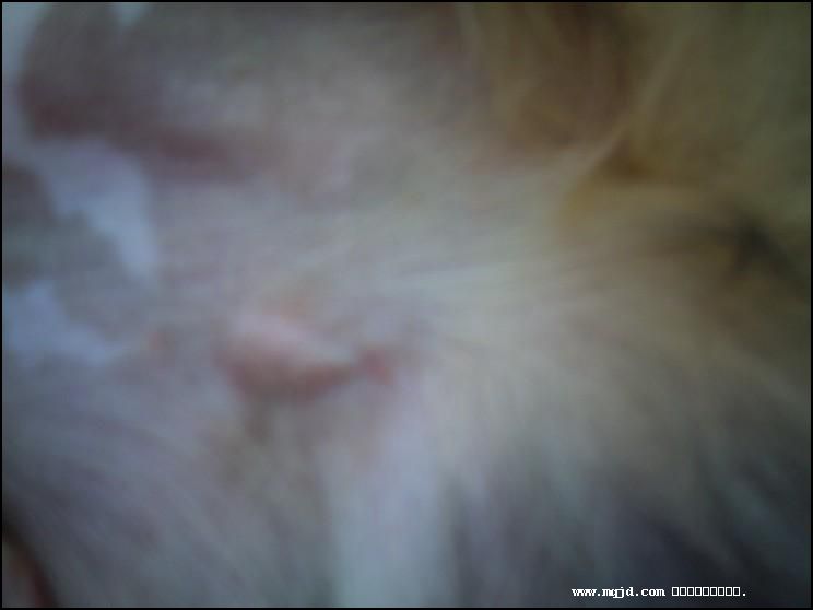 2007321202426.jpg