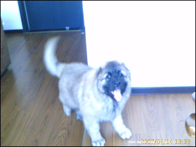 2007415211750.jpg