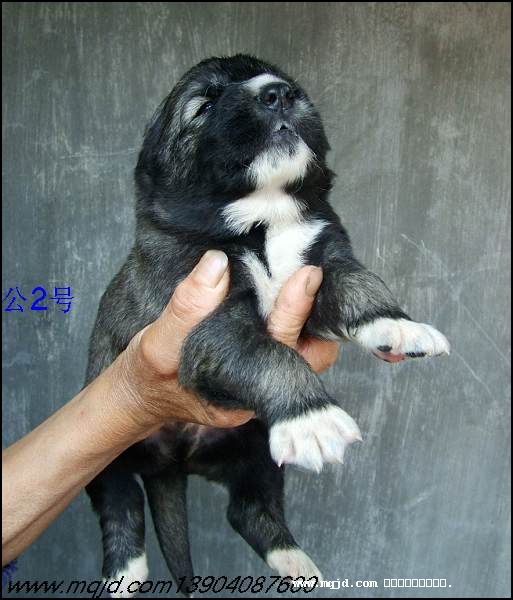 2007419215105.jpg