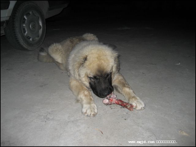 2007423204201.jpg
