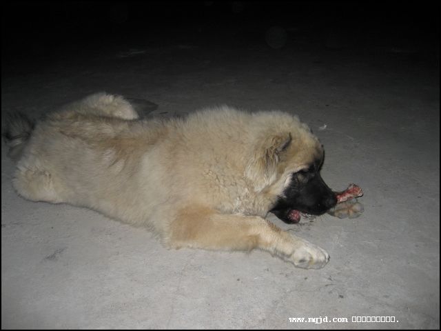 2007423204222.jpg